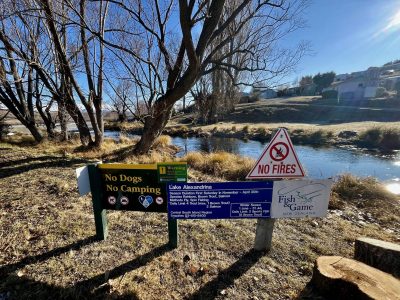 221FE045-2C95-4385-98CB-B64780522F0E_1_201_a