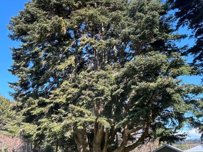 IMG_3848_Charlotte-Blakey