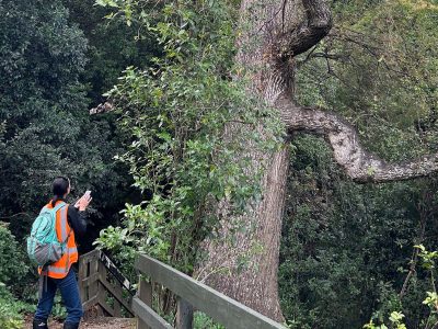 John William Hall Arboretum